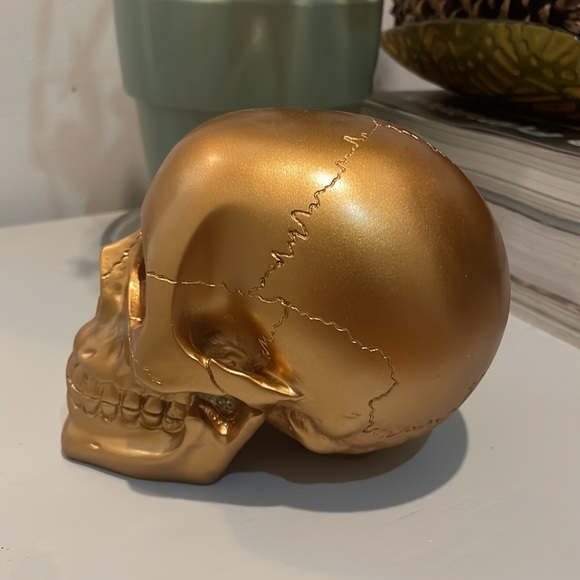 Gold Skull Head Collectible Skeleton Decoration Figurine - Picture 3 of 3